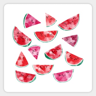 Watercolor Watermelon Magnet